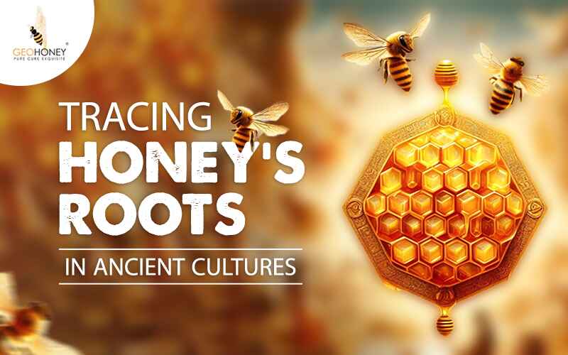 Tracing Honey’s Roots in Ancient Cultures